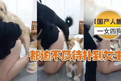 国产人兽一女四狗都迫不及待扑到女主