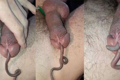 蚯蚓钻马眼恶趣味癖好