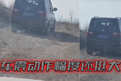 车震动作幅度还挺大