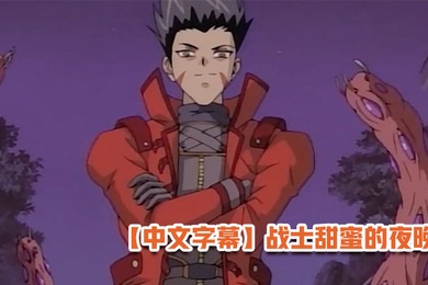 中文字幕战士甜蜜的夜晚