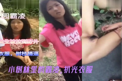 小树林里的霸凌扒光衣服