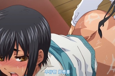 中文字幕後宮狂熱第一集