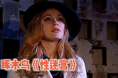 啄木鸟系列性迷宫