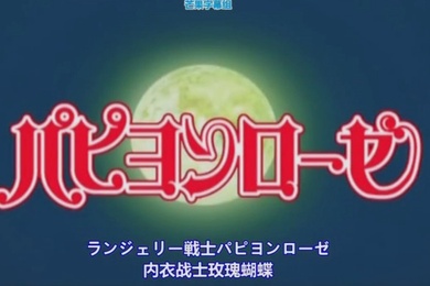 经典动漫玫瑰内衣战士