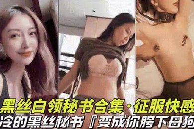 黑丝白领秘书大合集高冷黑丝秘书变成胯下母狗视觉上的享受