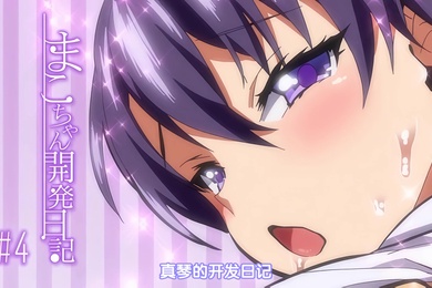 中文字幕真瑟的开发日记第4话