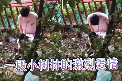 一段小树林的激烈爱情