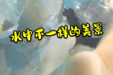 水中.不一样.的美.景